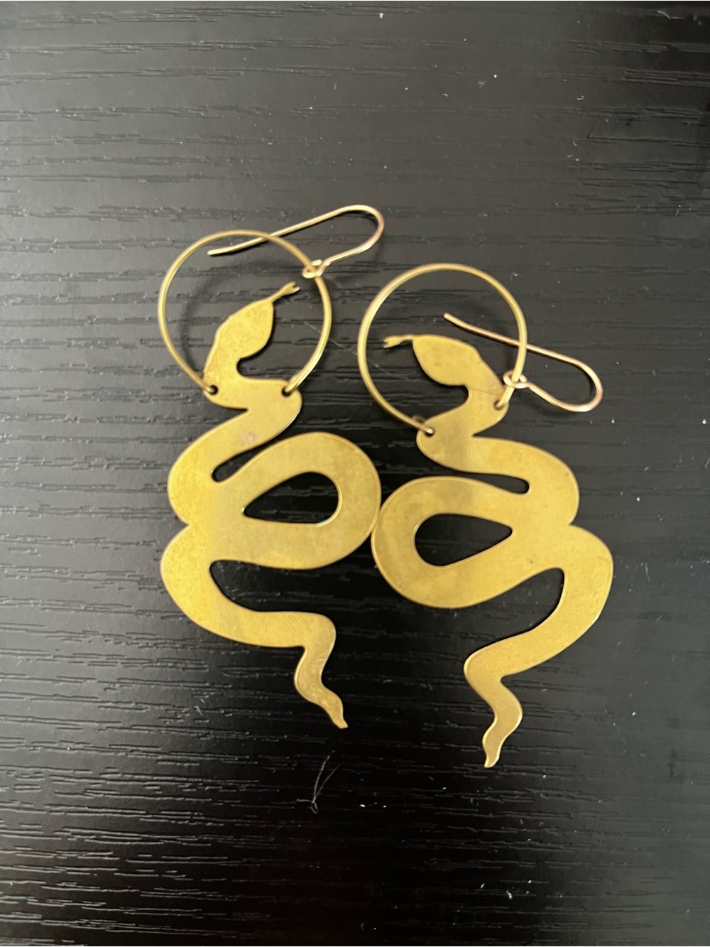 While Odin Sleeps Jormungander Earrings